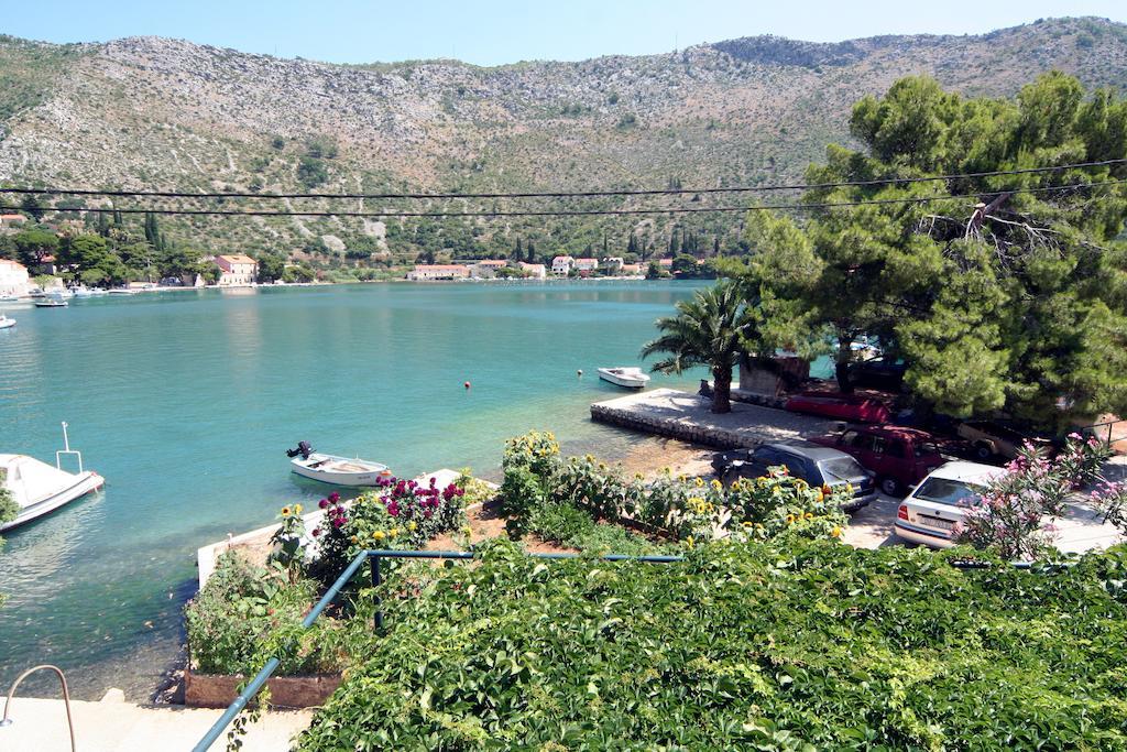 Guest House Katica زاتون الغرفة الصورة