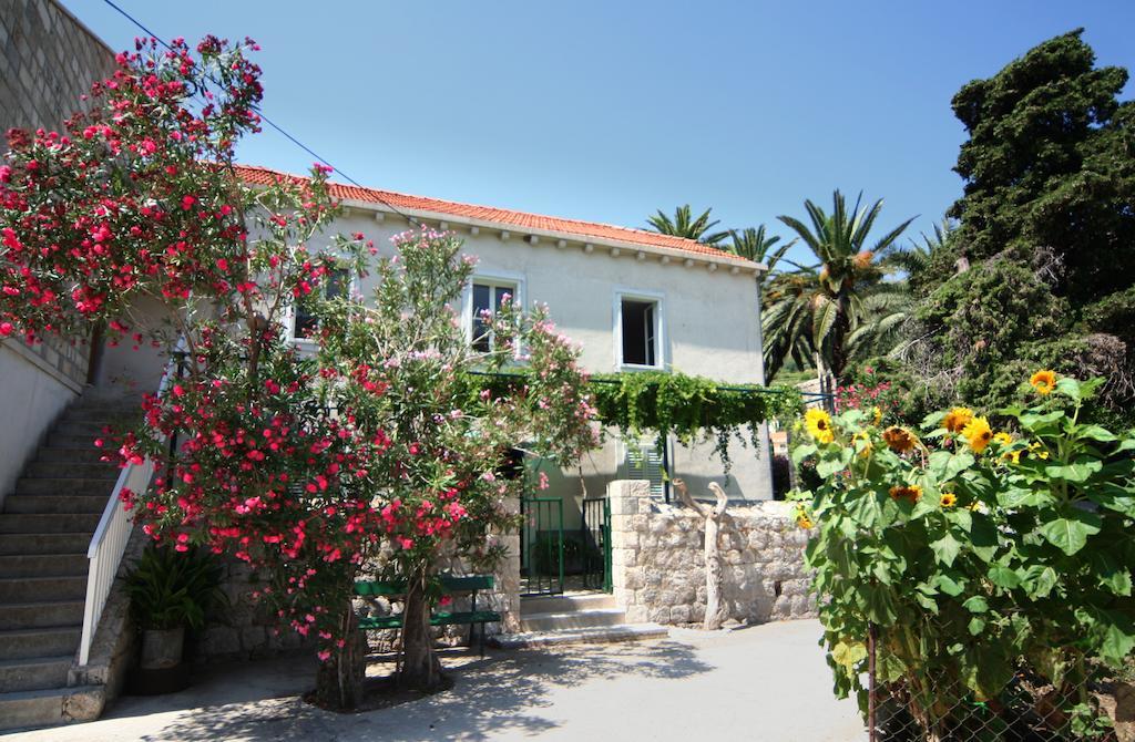Guest House Katica زاتون الغرفة الصورة